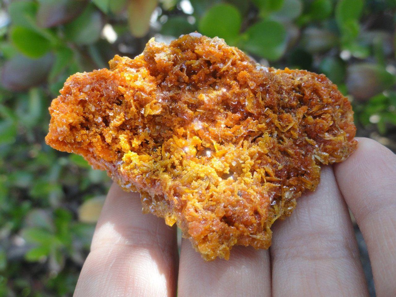 Bright Orange Wulfenite CLUSTER From Sonora. Mexico* - Earth Family Crystals