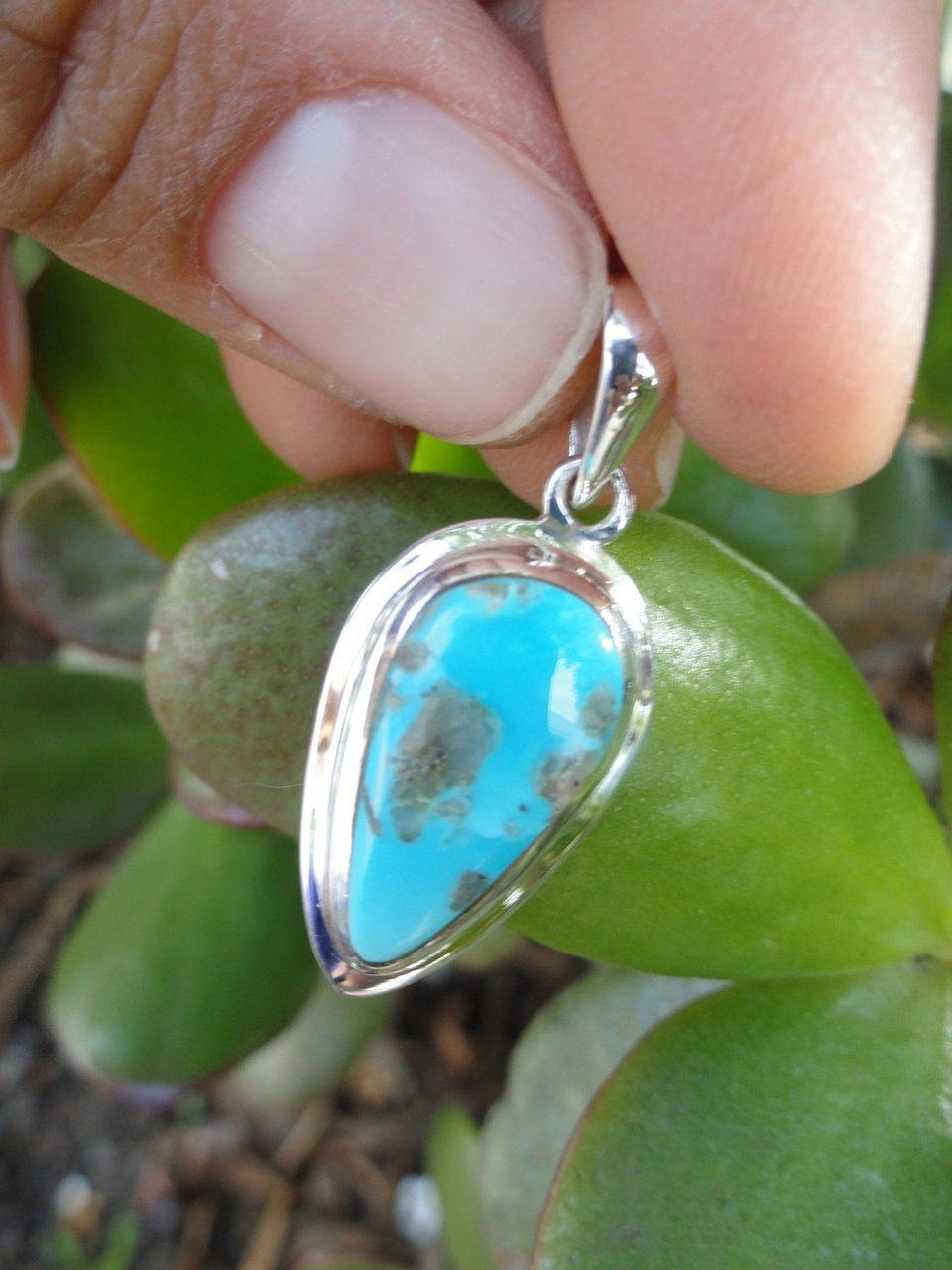 Arizona TURQUOISE PENDANT In Sterling Silver * Includes Free Silver chain* - Earth Family Crystals