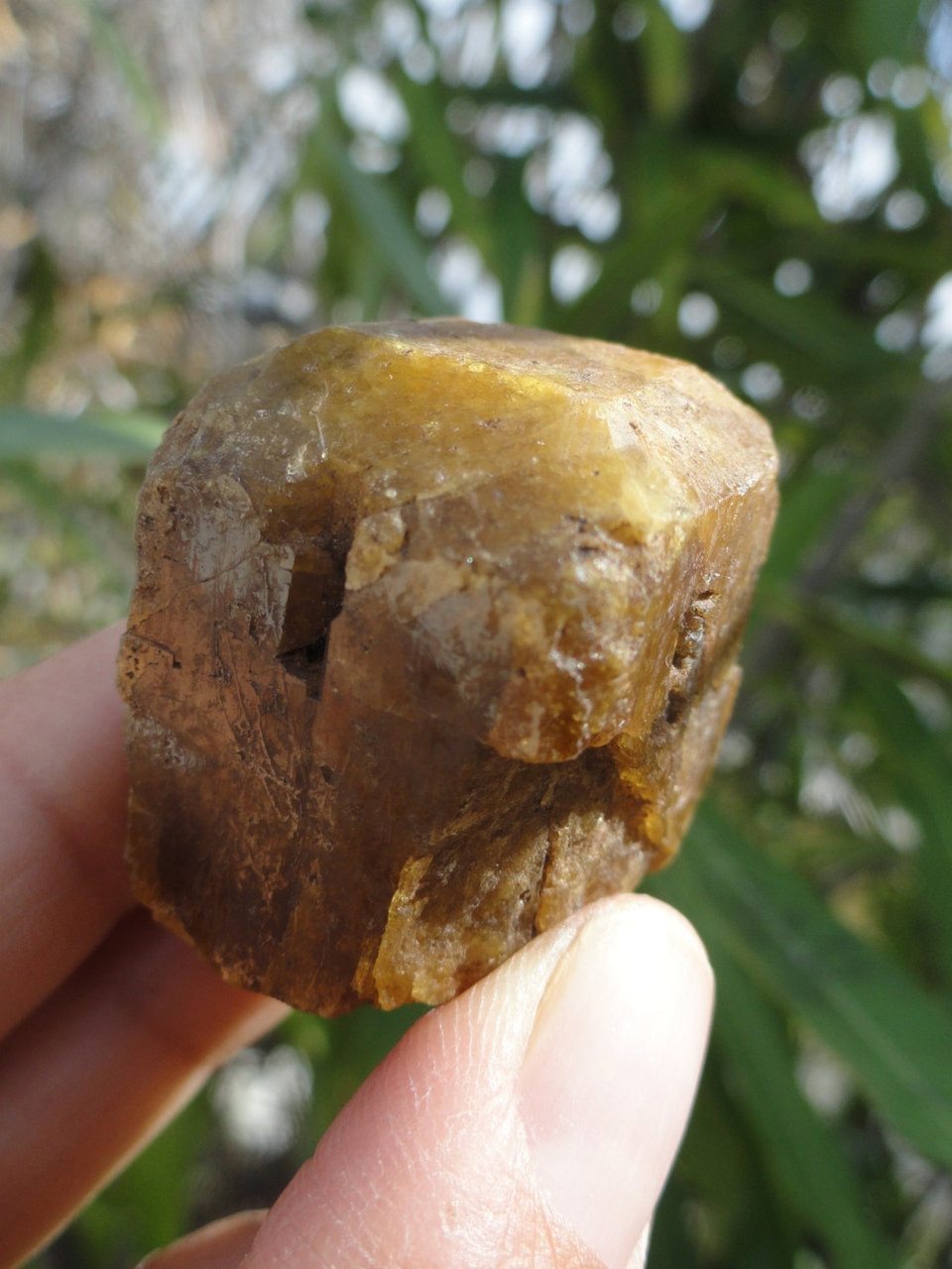 Unique Terminated VESUVIANITE Crystal From Mexico * - Earth Family Crystals