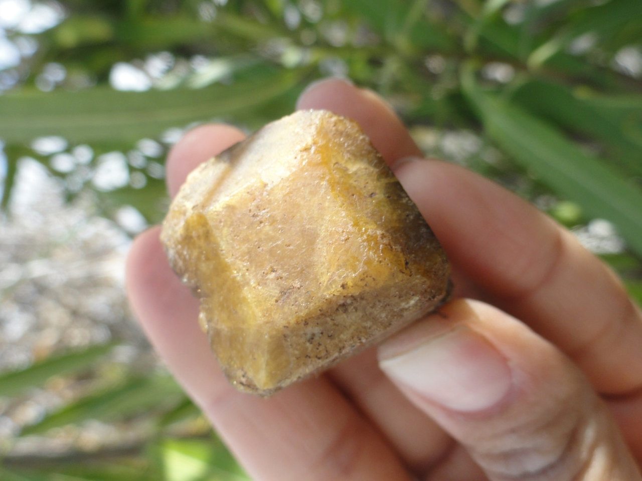 Unique Terminated VESUVIANITE Crystal From Mexico * - Earth Family Crystals