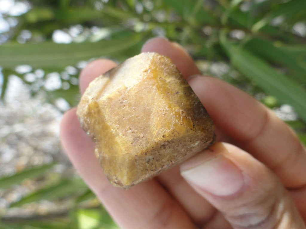 Unique Terminated VESUVIANITE Crystal From Mexico * - Earth Family Crystals