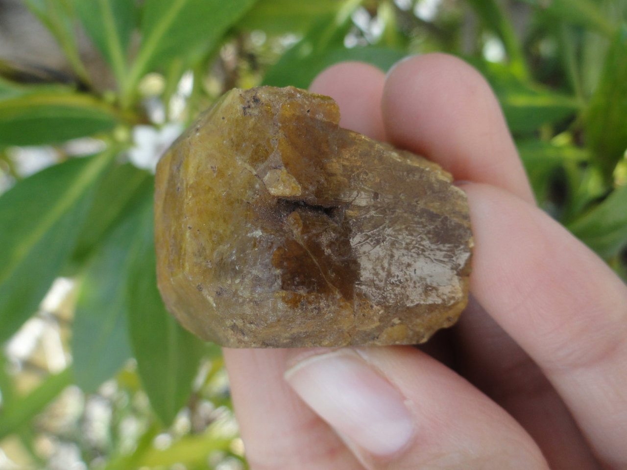 Unique Terminated VESUVIANITE Crystal From Mexico * - Earth Family Crystals