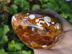 Firey Orange CARNELIAN Self Standing Specimen* - Earth Family Crystals
