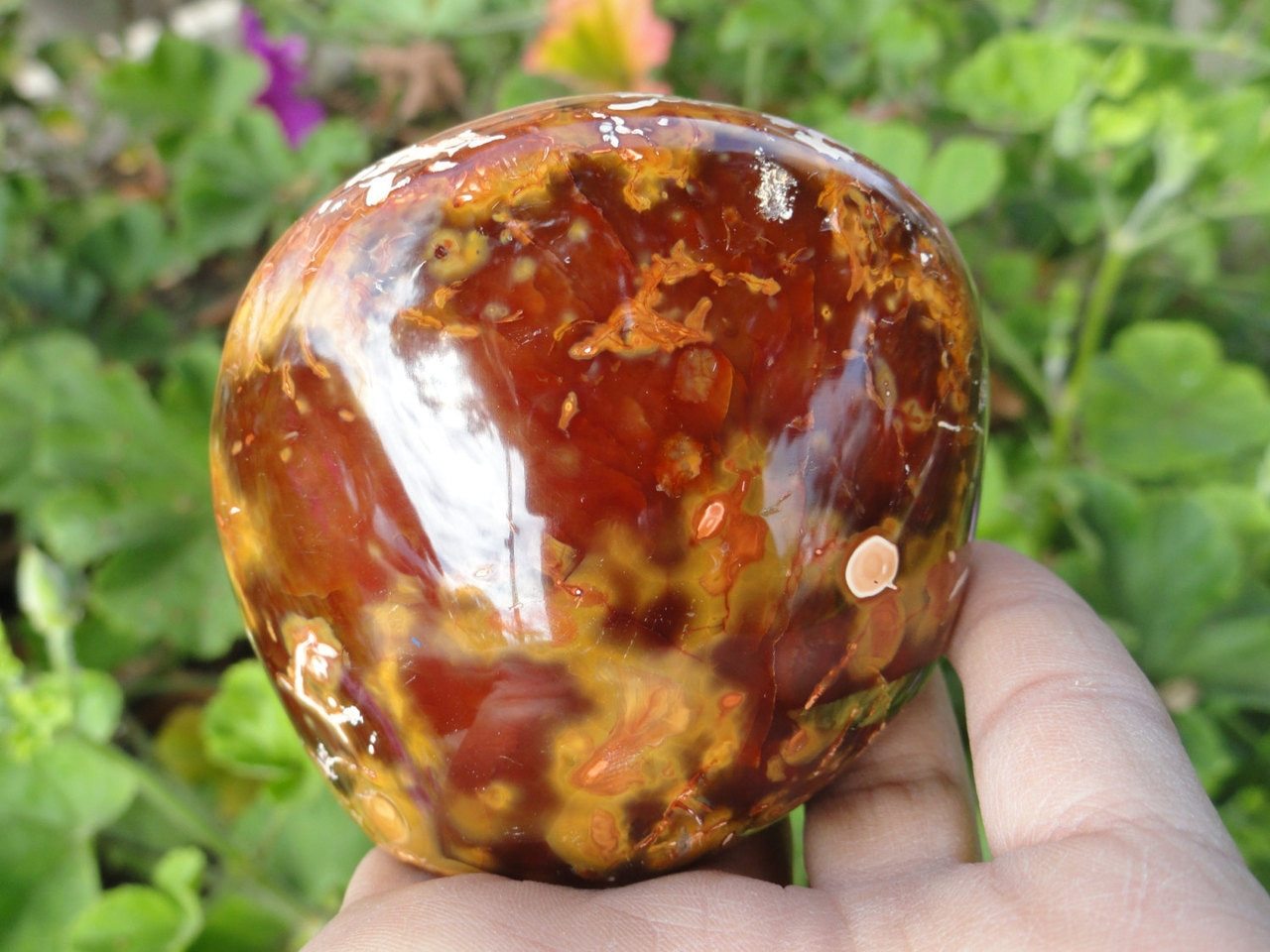 Firey Orange CARNELIAN Self Standing Specimen* - Earth Family Crystals