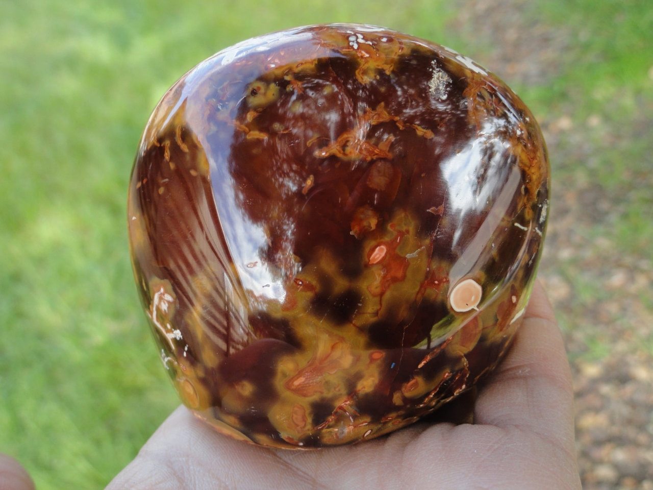 Firey Orange CARNELIAN Self Standing Specimen* - Earth Family Crystals