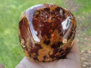 Firey Orange CARNELIAN Self Standing Specimen* - Earth Family Crystals