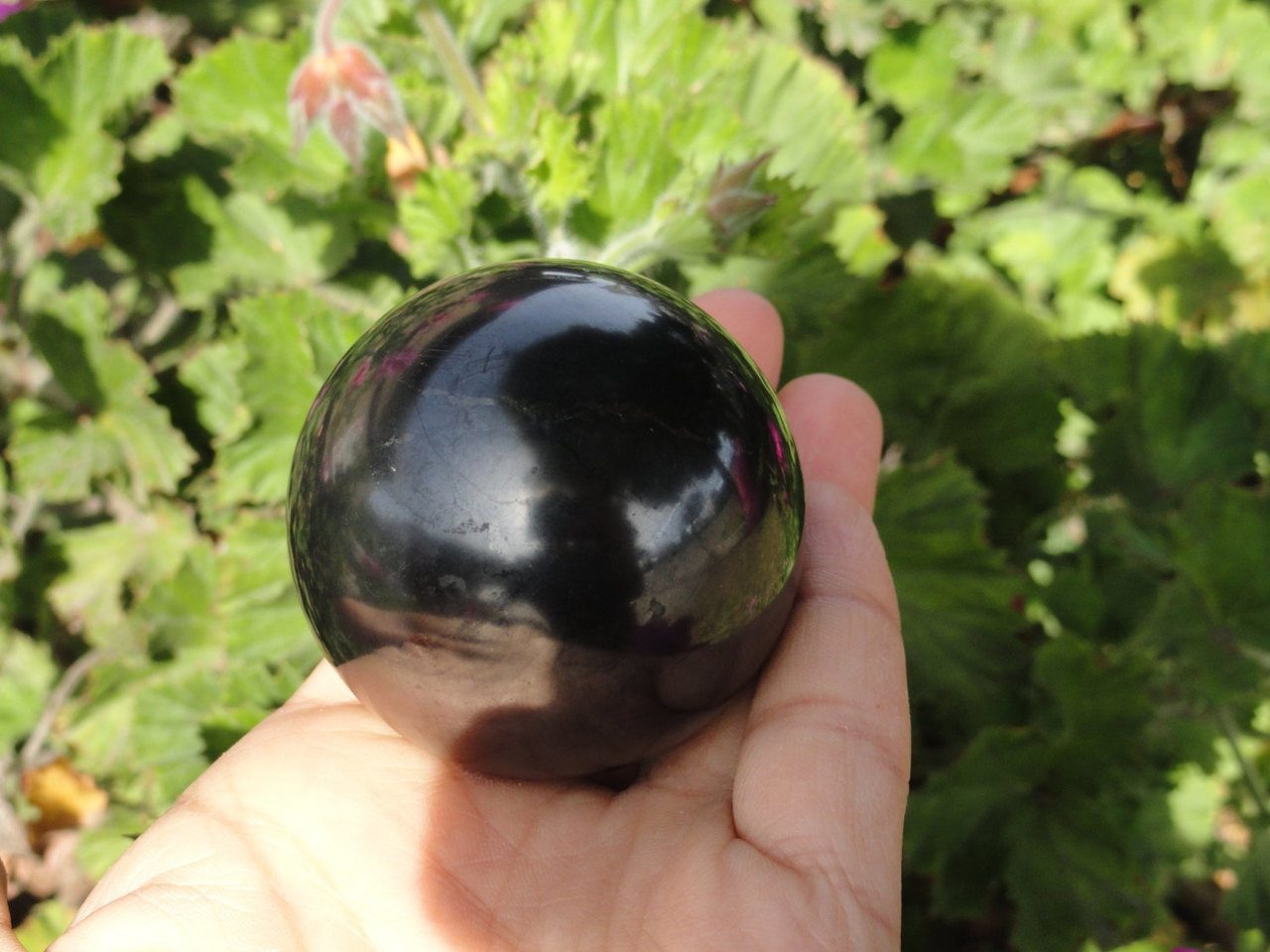 Midnight Black EMF Protective SHUNGITE SPHERE With Pyrite Veins From Russia* - Earth Family Crystals