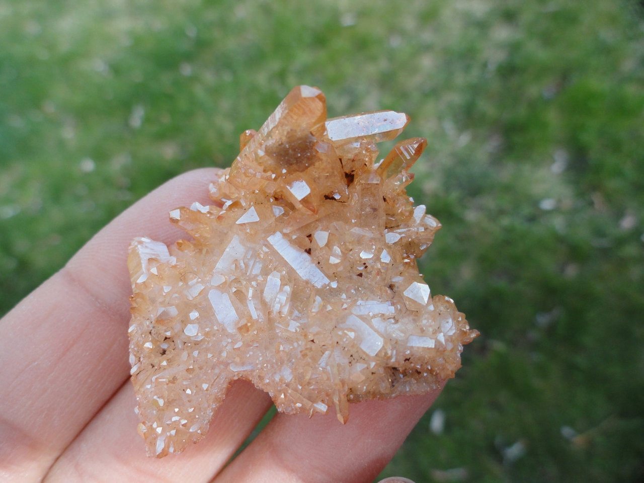 Vibrant Tangerine Orange SUNSHINE AURA QUARTZ Cluster* - Earth Family Crystals