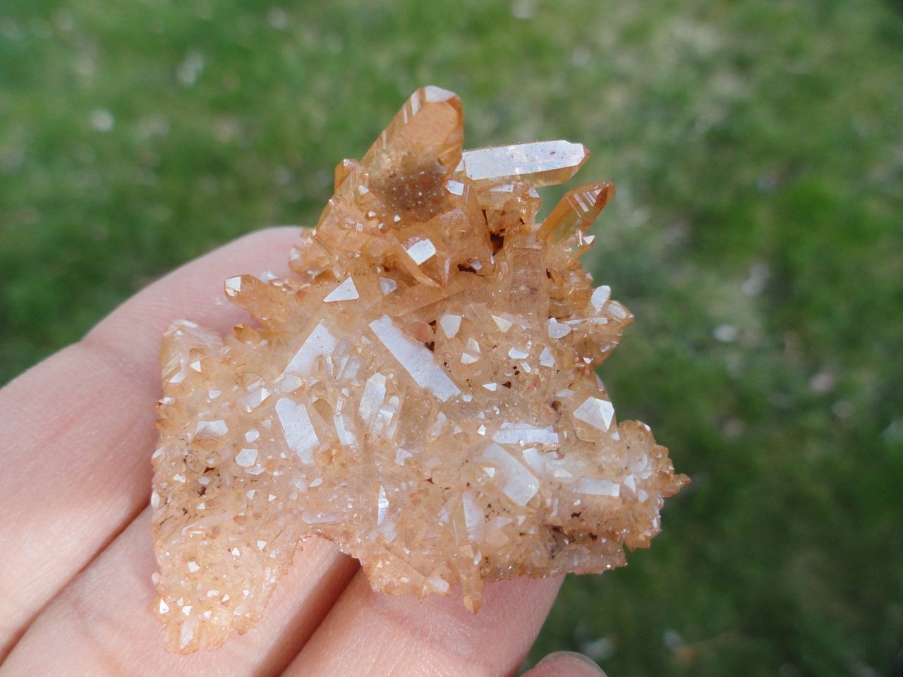 Vibrant Tangerine Orange SUNSHINE AURA QUARTZ Cluster* - Earth Family Crystals