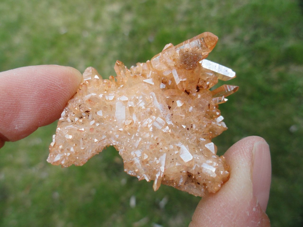 Vibrant Tangerine Orange SUNSHINE AURA QUARTZ Cluster* - Earth Family Crystals