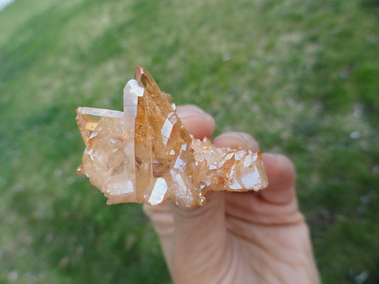 Vibrant Tangerine Orange SUNSHINE AURA QUARTZ Cluster* - Earth Family Crystals