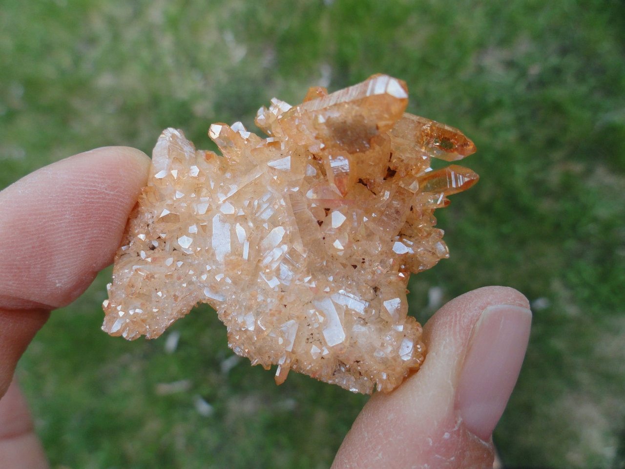 Vibrant Tangerine Orange SUNSHINE AURA QUARTZ Cluster* - Earth Family Crystals