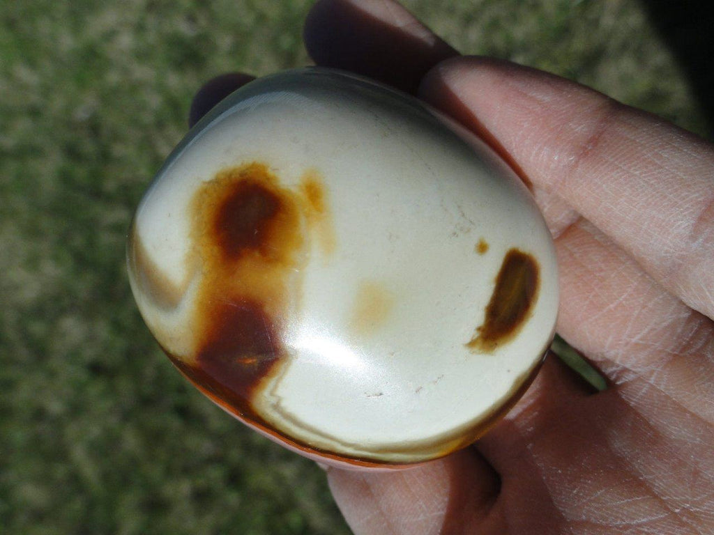 Creamy Pink & Brown POLYCHROME JASPER Palm Stone *Aka Desert Jasper - Earth Family Crystals