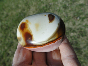 Creamy Pink & Brown POLYCHROME JASPER Palm Stone *Aka Desert Jasper - Earth Family Crystals