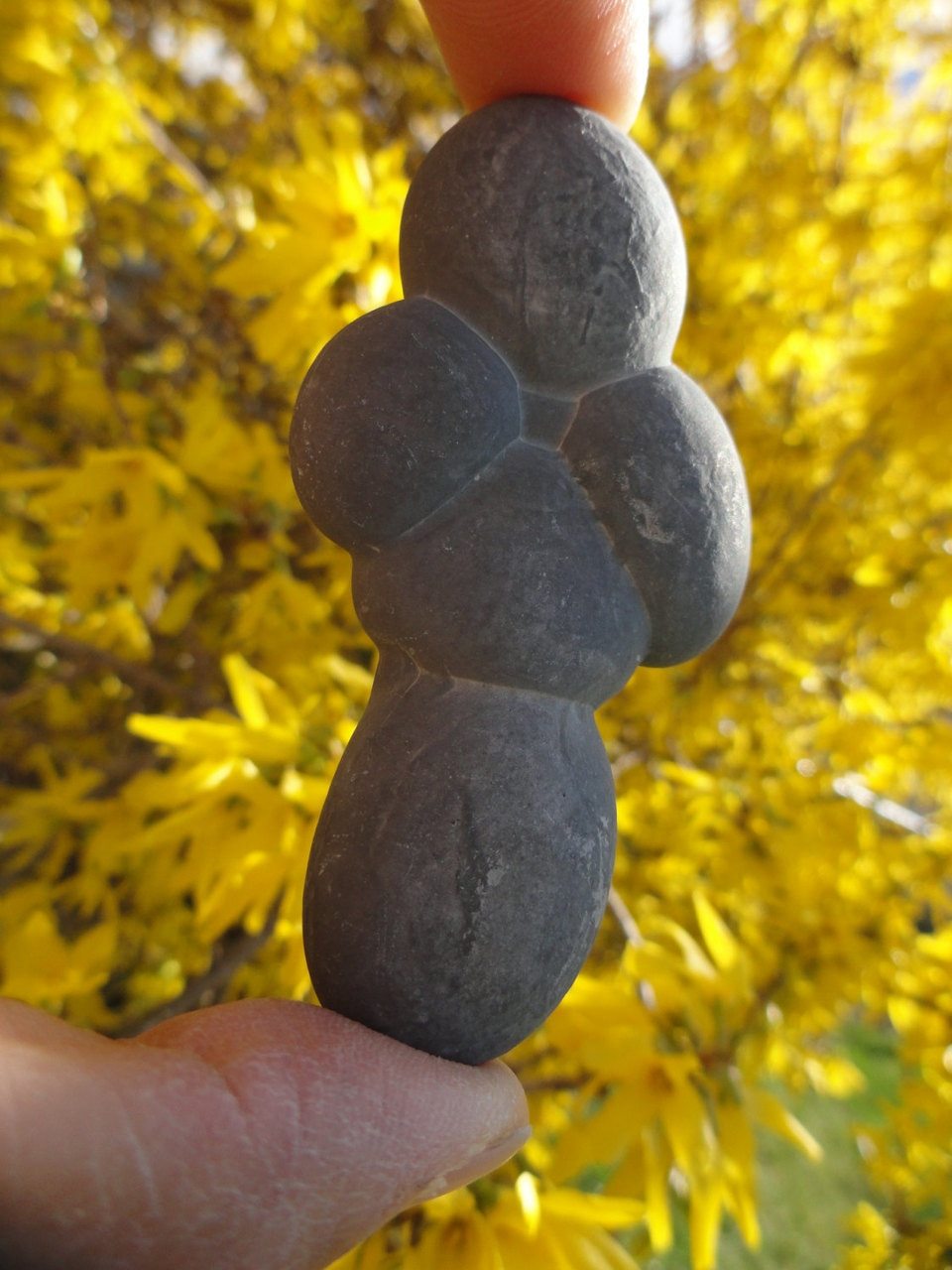 FAIRY STONE ~ Stone of Good Luck, Protection, Health* - Earth Family Crystals