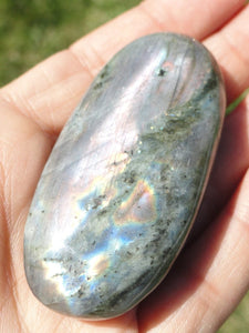 Multi Flash LABRADORITE PALM STONE* - Earth Family Crystals
