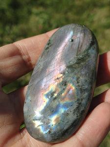 Multi Flash LABRADORITE PALM STONE* - Earth Family Crystals