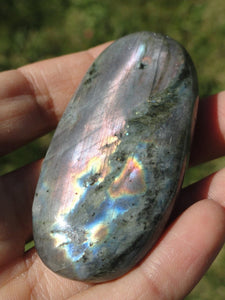 Multi Flash LABRADORITE PALM STONE* - Earth Family Crystals