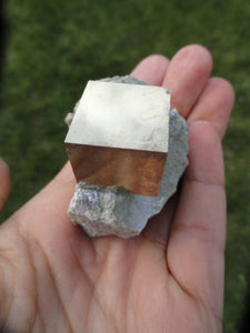 Amazing Natural Pyrite Cube in Matrix* - Earth Family Crystals