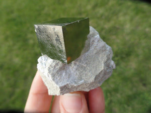 Amazing Natural Pyrite Cube in Matrix* - Earth Family Crystals
