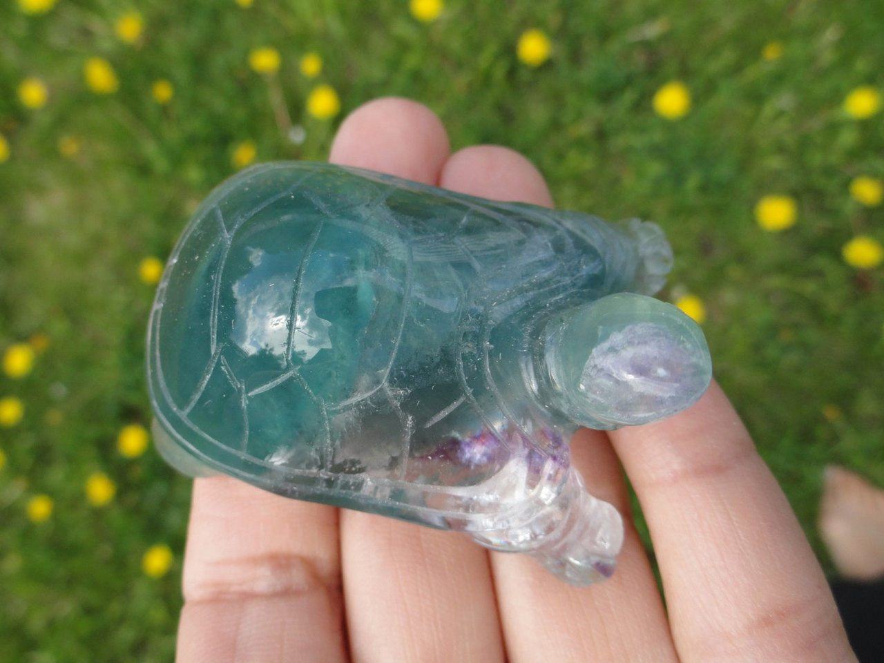 Curious Green FLUORITE TURTLE ~ Stone of Stress Relief,Confidence,Peaceful Dreams* - Earth Family Crystals