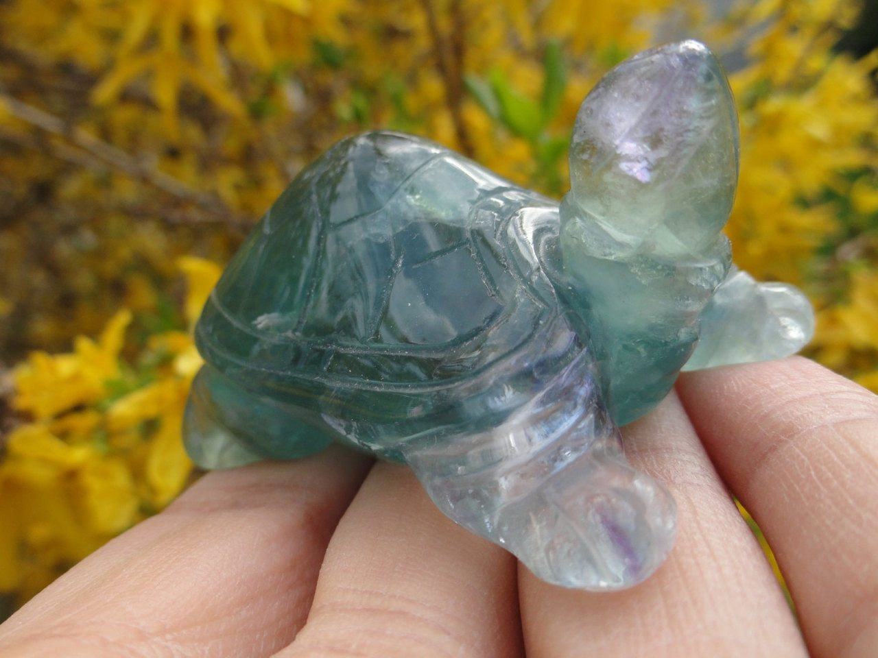 Curious Green FLUORITE TURTLE ~ Stone of Stress Relief,Confidence,Peaceful Dreams* - Earth Family Crystals