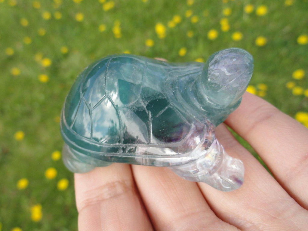 Curious Green FLUORITE TURTLE ~ Stone of Stress Relief,Confidence,Peaceful Dreams* - Earth Family Crystals