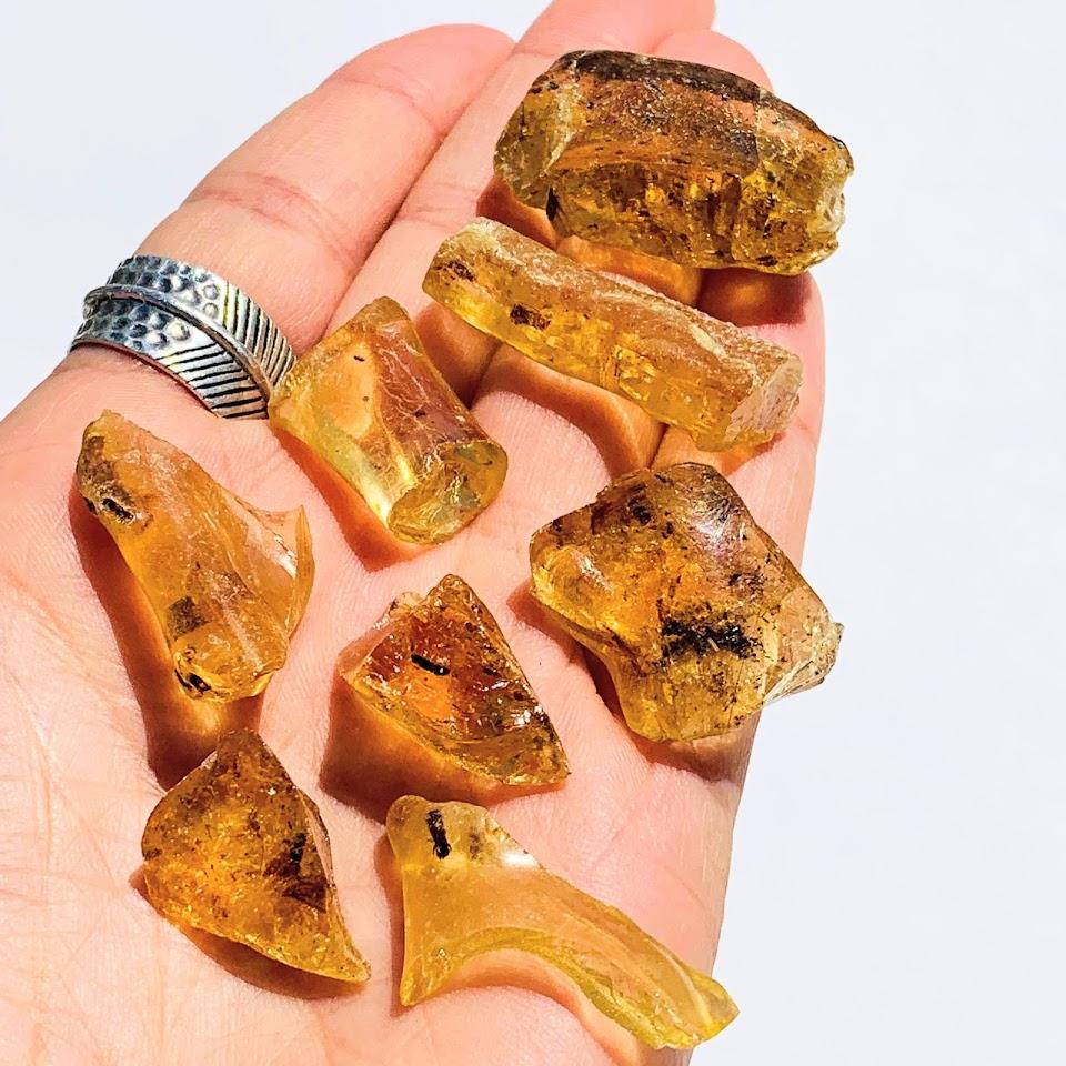 Set of 8 Bug Included Golden Amber Copal From Colombia