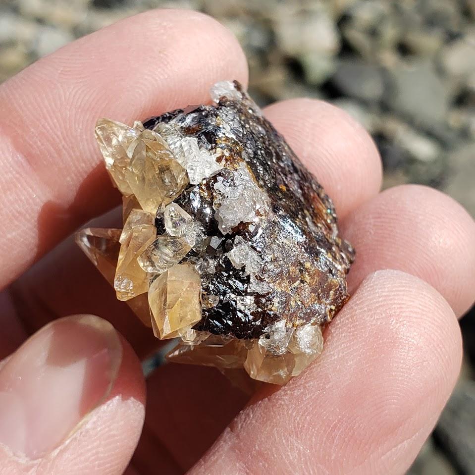 Famous Locality~Elmwood Mine Golden Stellar Beam Calcite Points nestled in Sphalerite Matrix - Earth Family Crystals