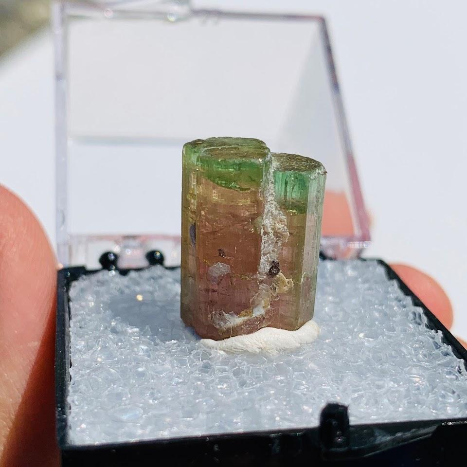 Rare Gemmy Watermelon Tourmaline Point From Brazil in Collectors Box #4 - Earth Family Crystals