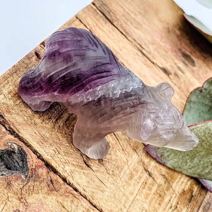 Adorable Rainbow Fluorite Bear Display Carving - Earth Family Crystals