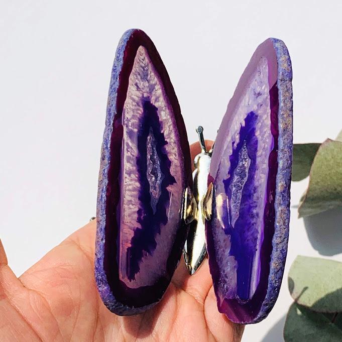 Gorgeous  Agate Display Butterfly Specimen #3 - Earth Family Crystals
