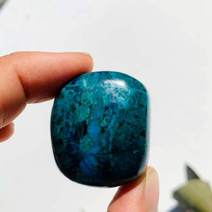 Vibrant Colors Chrysocolla Palm Stone #1 - Earth Family Crystals