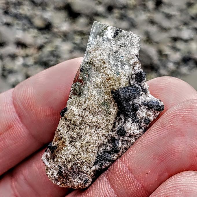 Gemmy Collectors Aquamarine & Black Tourmaline Point From South Africa - Earth Family Crystals