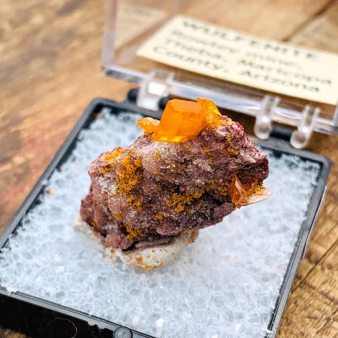 Vibrant Orange Wulfenite Crystals Nestled on Matrix From Rowley Mine, Arizona in Collectors Box - Earth Family Crystals