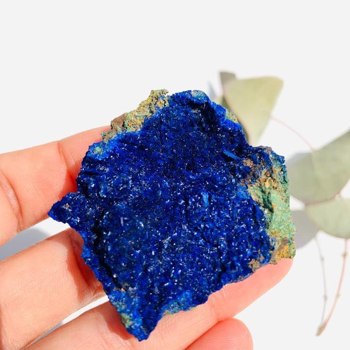 Collectors Azure Blue Azurite with Spherical Aggregates From Anhui Province, China - Earth Family Crystals