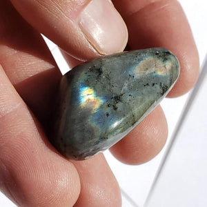 Pretty Labradorite Small Palm Stone #3 - Earth Family Crystals