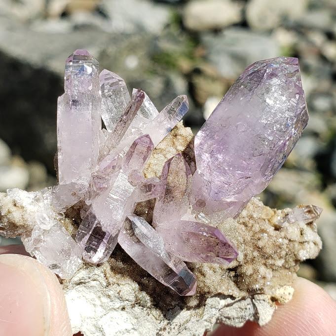 Sceptre Point  Vera Cruz Amethyst Cluster on Matrix