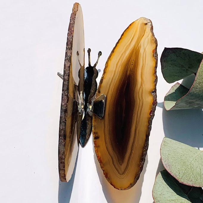 Gorgeous  Agate Display Butterfly Specimen #1 - Earth Family Crystals