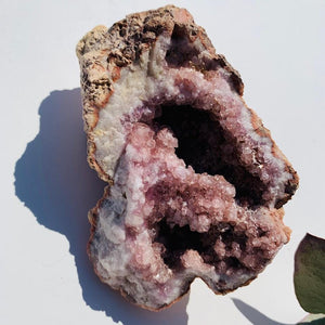 Stunning Large Pink Amethyst Druzy Geode From Patagonia - Earth Family Crystals