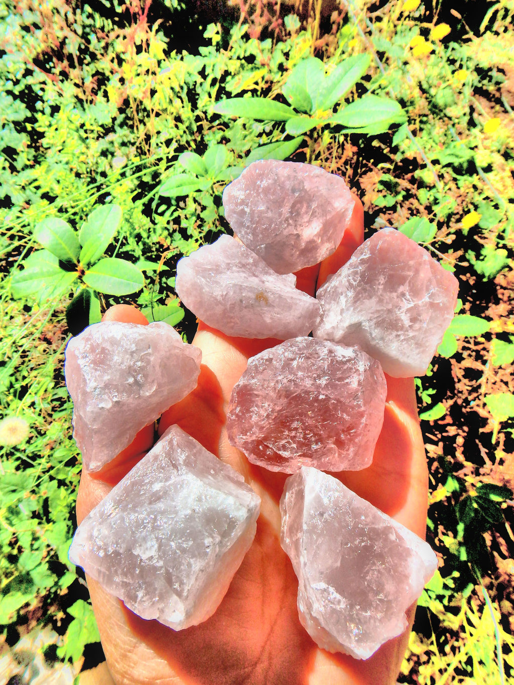 Raw Rose Quartz Chunk Specimen (1) - Earth Family Crystals