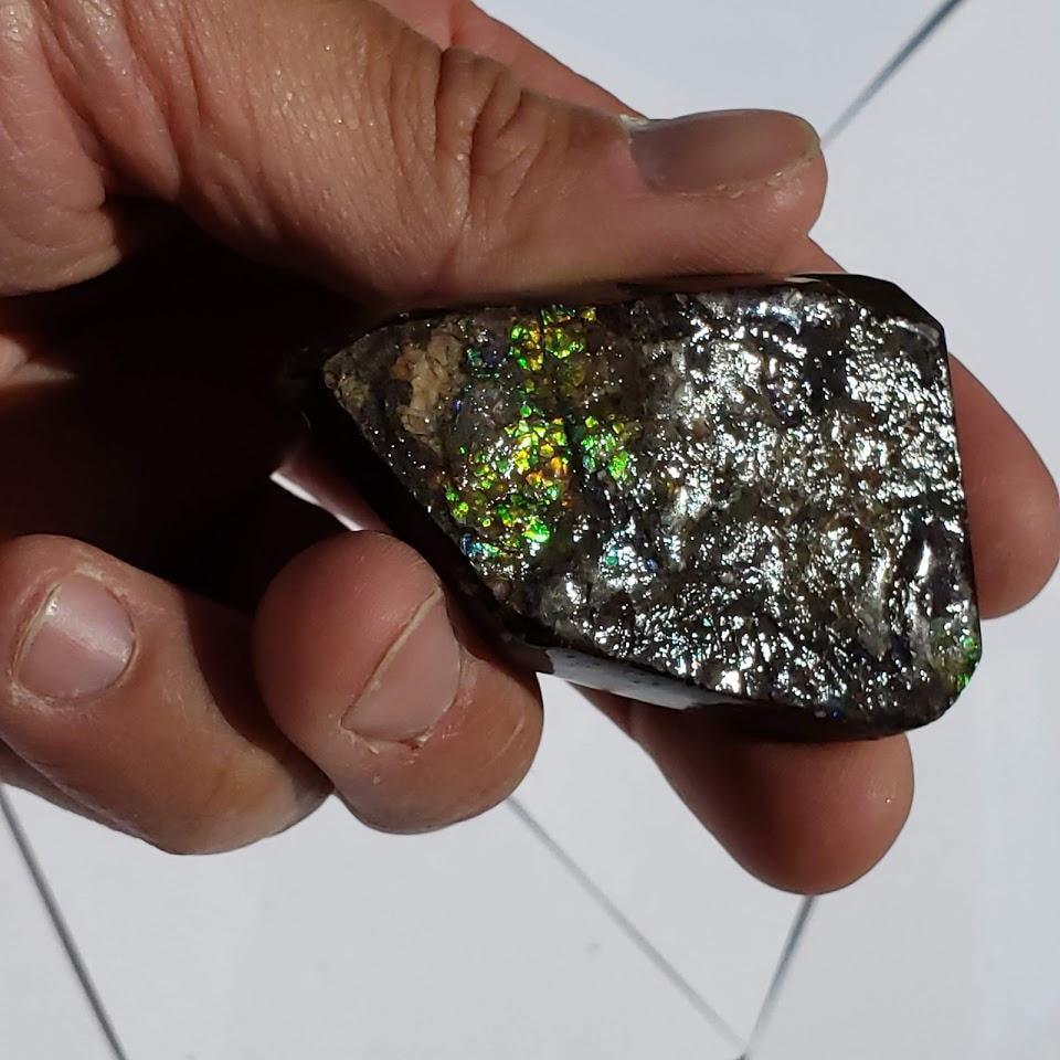 Chunky Alberta Ammolite Fossil Free Form Hand Held Specimen #4 - Earth Family Crystals