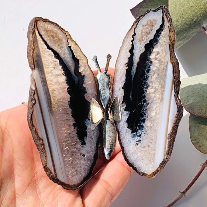 Gorgeous  Agate Display Butterfly Specimen #5 - Earth Family Crystals