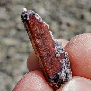 Orange Topaz Point Nestled in Matrix From Mexico #2 - Earth Family Crystals