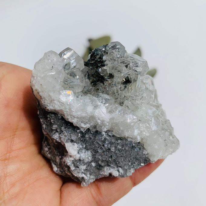 Extreme Gemmy Lustre Clear Calcite & Pyrite Cluster From Linwood Mine, USA - Earth Family Crystals