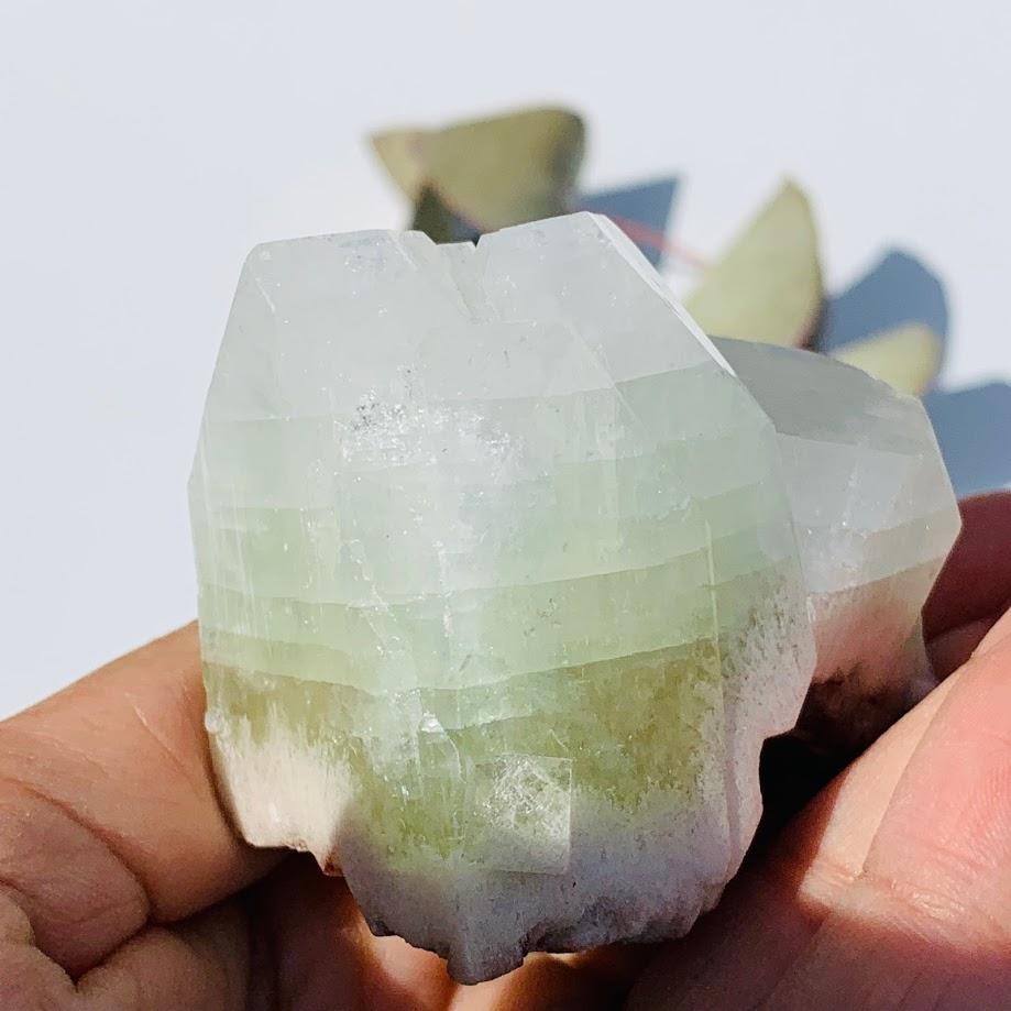 Gemmy Green & Clear Apophyllite Cluster from India #9 - Earth Family Crystals