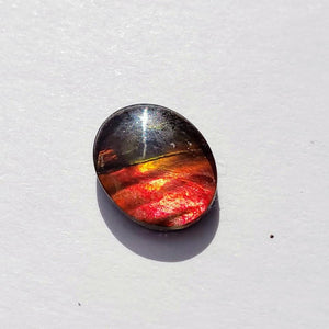 Quartz Capped Alberta Ammolite Small Cabochon in Collectors Box -Ideal for Crafting #3