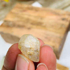 Raw Terminated White Topaz From Park, Colorado in Collectors Box - Earth Family Crystals