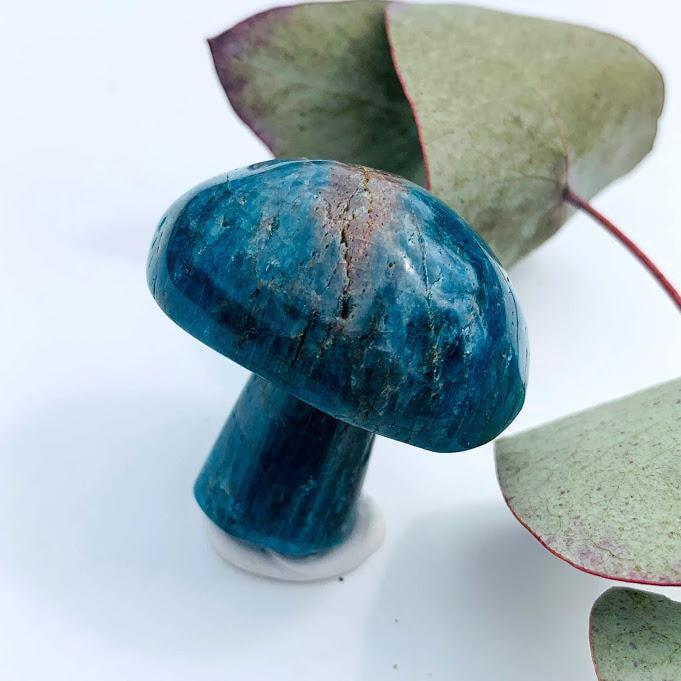 Cute Blue Apatite Mushroom Carving *REDUCED* - Earth Family Crystals