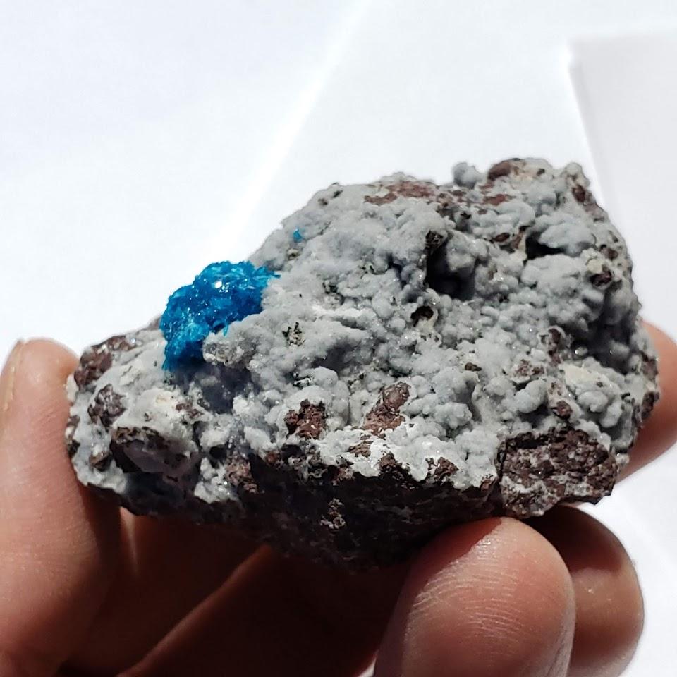 Electric Blue Natural Cavansite Crystal Nestled in Rock Matrix From India - Earth Family Crystals